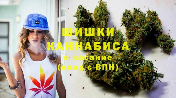 прущие грибы Дмитриев