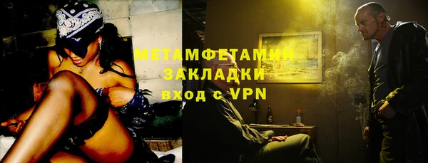прущие грибы Дмитриев
