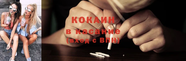 прущие грибы Дмитриев