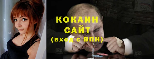 прущие грибы Дмитриев