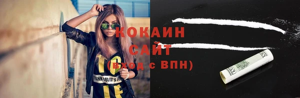 сатива Ельня
