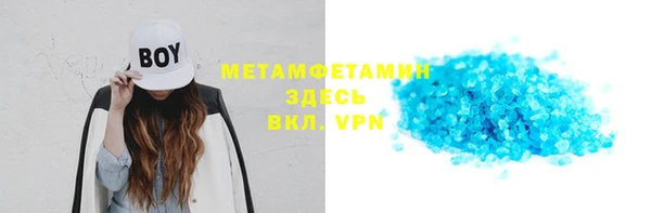 прущие грибы Дмитриев