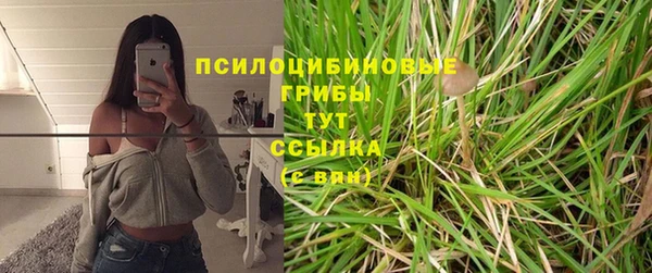 прущие грибы Дмитриев