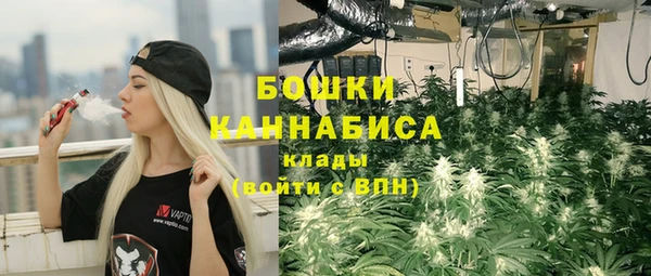 тгк Лиски