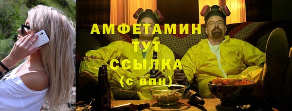 прущие грибы Дмитриев